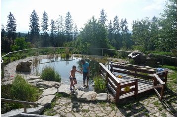 Pensiune familială Vacov 4